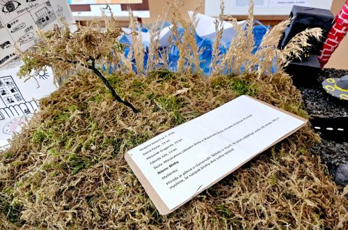 Art-Floral-Design 2026 - letošní téma je „Láska prochází žaludkem”