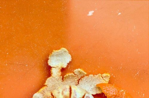 Art-Floral-Design 2026 - letošní téma je „Láska prochází žaludkem”