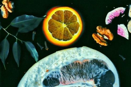 Art-Floral-Design 2026 - letošní téma je „Láska prochází žaludkem”