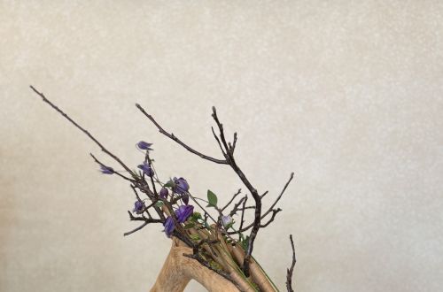 Mladý řemeslník roku 2025