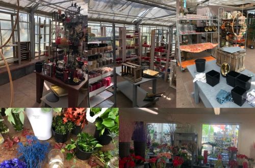 Stáž Erasmus+, branding floristiky 2025