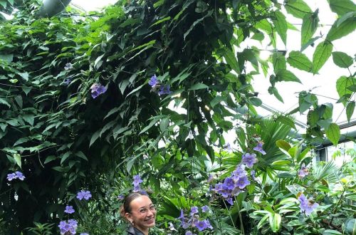 Stáž Erasmus+, branding floristiky 2025