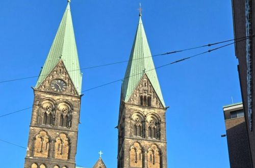 Stáž Erasmus+, branding floristiky 2025