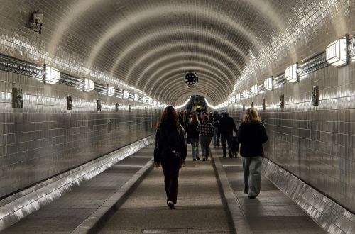 Stáž Erasmus+, branding floristiky 2025