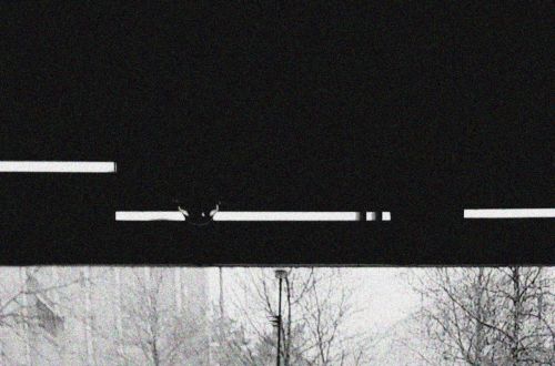 Johana Jedličková - Lidské mžitky 1 - 1.místo v kategorii J25